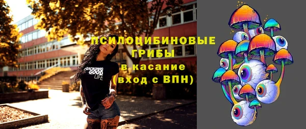 a pvp Белокуриха