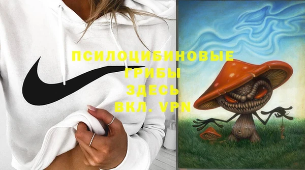 молекула духа Беломорск