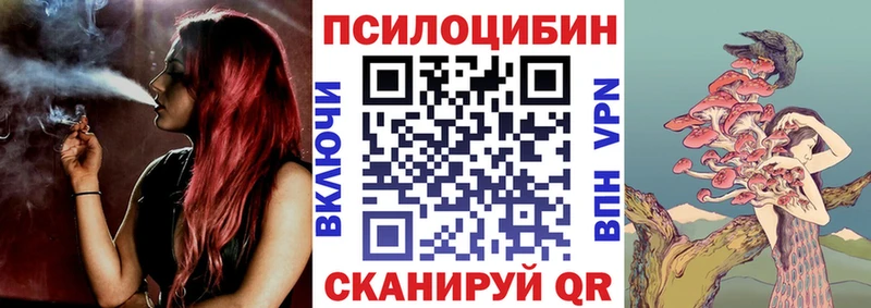 купить наркотик  Челябинск  Галлюциногенные грибы Psilocybe 